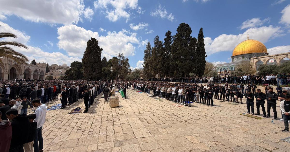 بعد منعها 5 أسابيع.. 100 ألف يؤدون صلاة الجمعة بالمسجد الأقصى