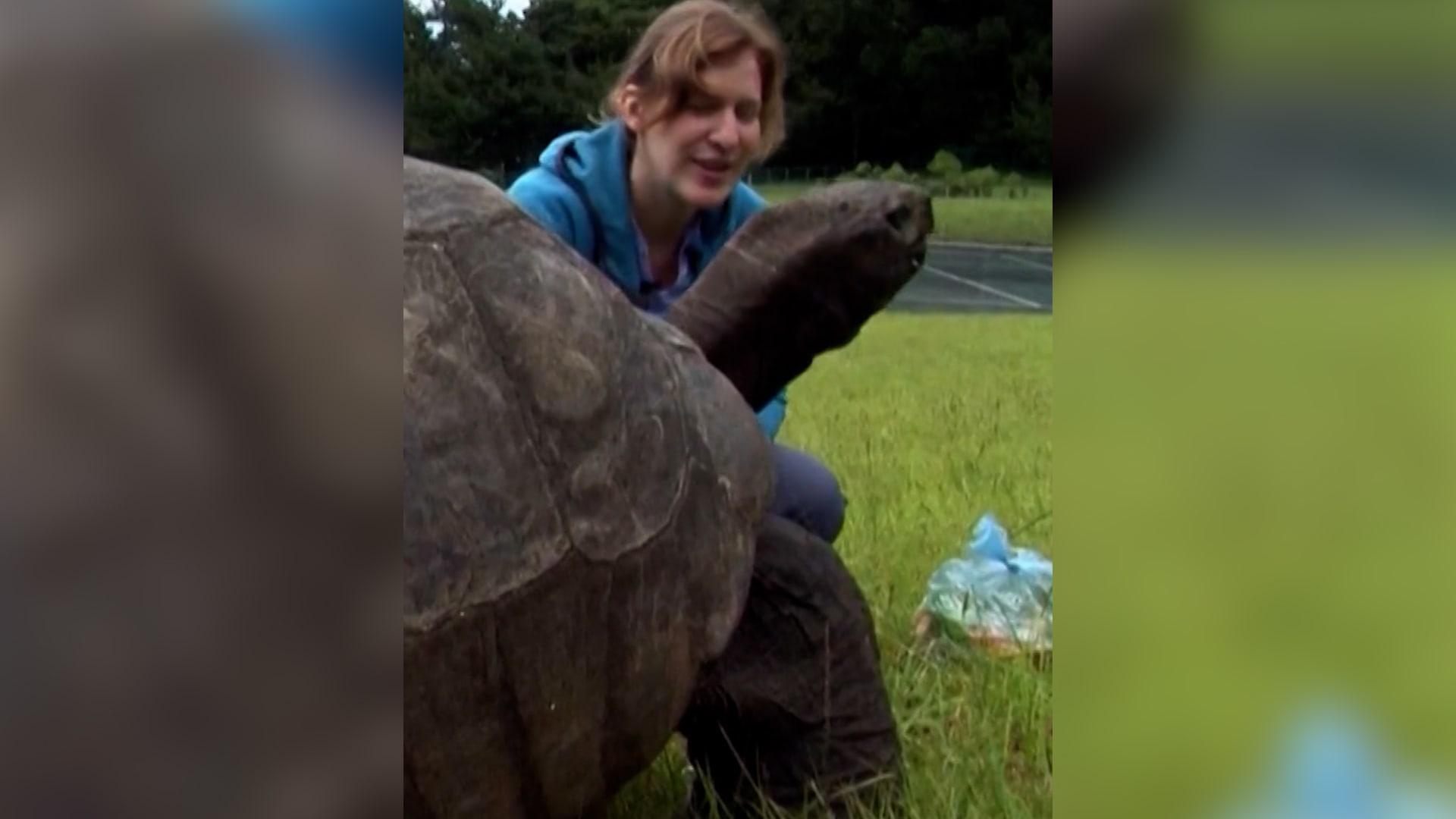 عمرها 194 عاماً.. كيف وقعت أقدم سلحفاة في العالم ضحية لعملية احتيال بالعملات الرقمية؟