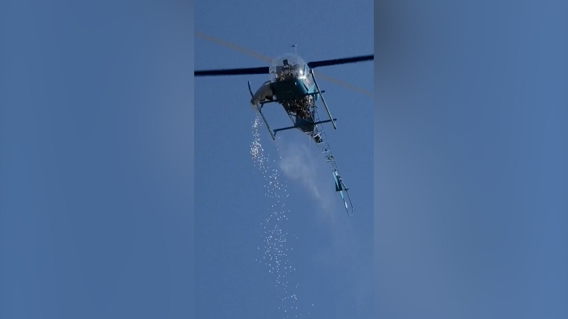 في "عيد الفصح".. مروحية تنثر حلوى المارشميلو فوق حشد من الأطفال بميشيغان