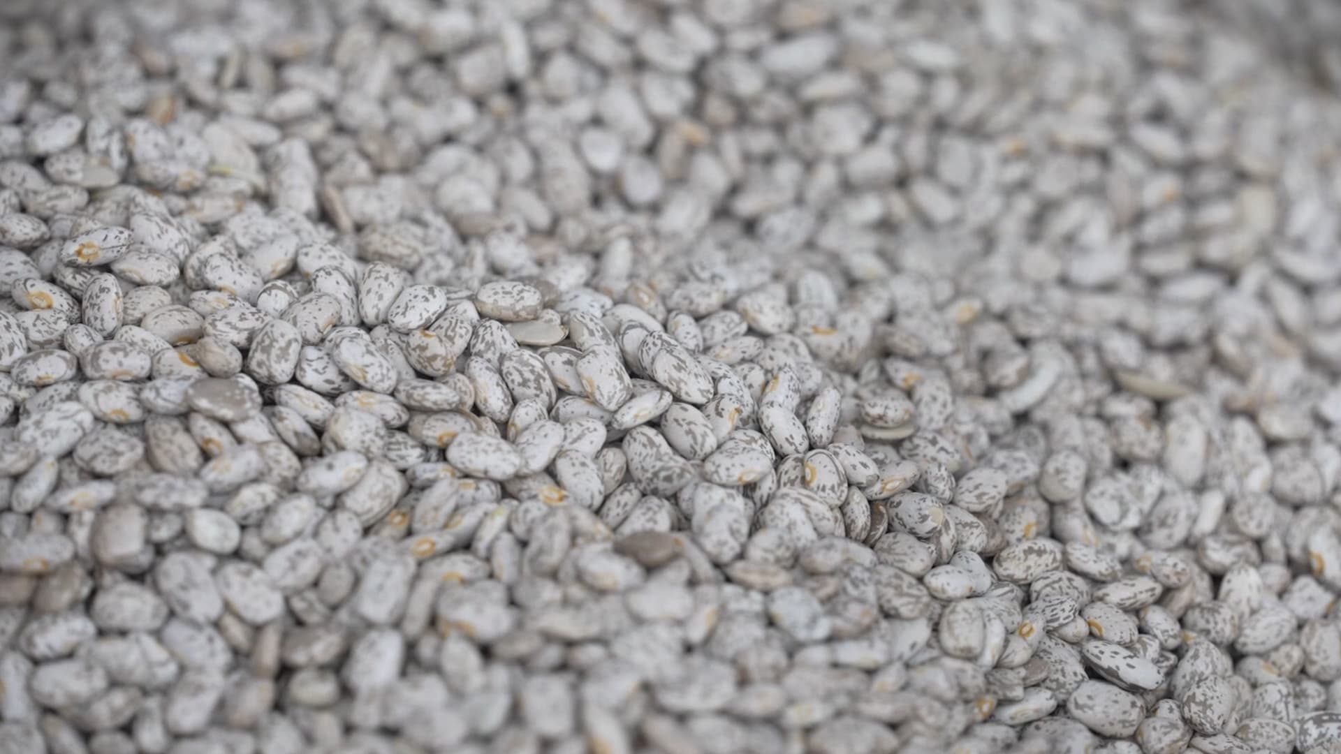 جمعية القلب الأمريكية: إرشادات غذائية جديدة مفيدة لصحتك