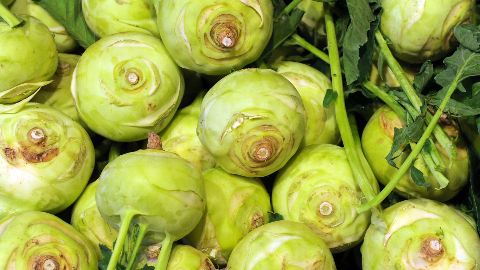 اللفت الألماني.. ما أبرز فوائده وقيمته الغذائية؟