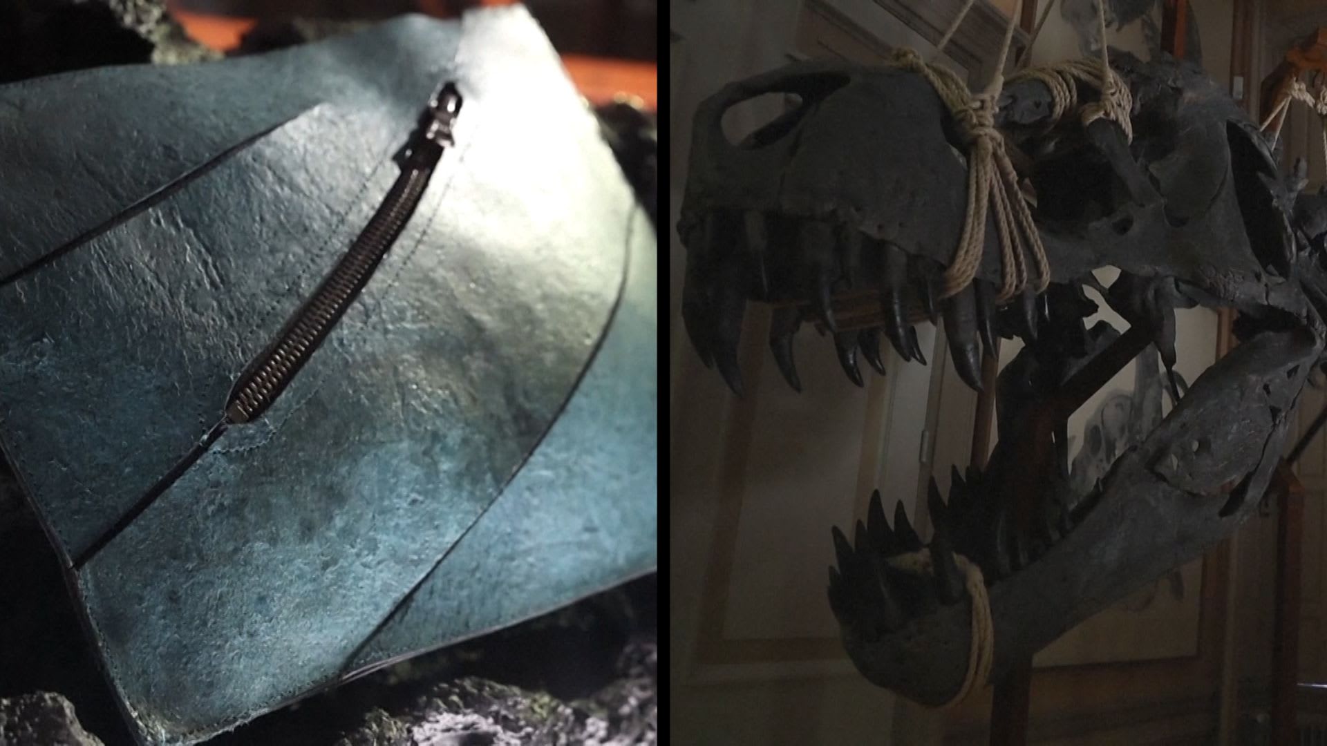 الكشف عن حقيبة يد فاخرة مصنوعة من "جلد تي ريكس"