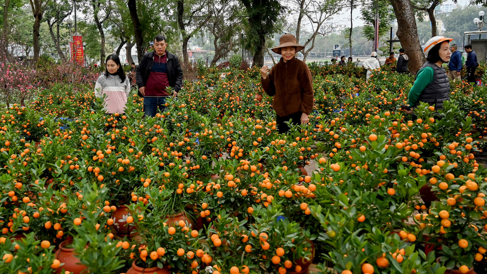 فوائد البرتقال الذهبي..لماذا تُعتبر "الكمكوات" كنزّا للفيتامينات والمعادن؟