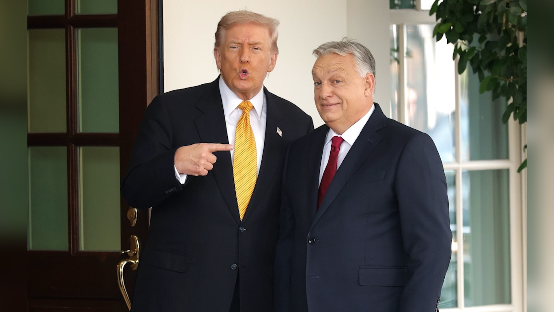 فيكتور أوربان يقر بهزيمته في الانتخابات بعد 16 عامًا بمنصب رئيس وزراء للمجر