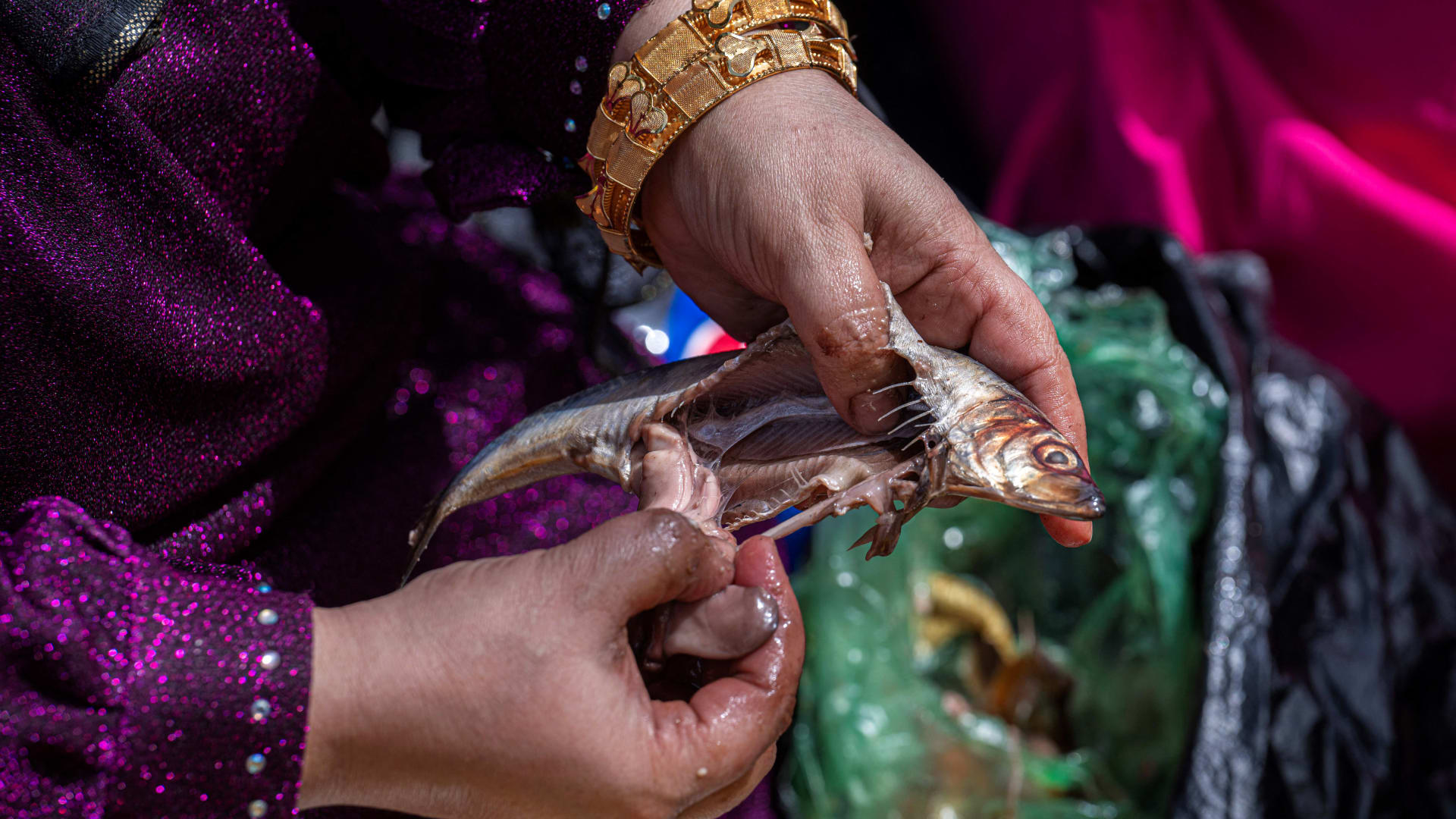 بينها عدم الإسراف في تناول الفسيخ.. الصحة المصرية تشارك نصائح مهمة للاحتفال بشم النسيم في مصر