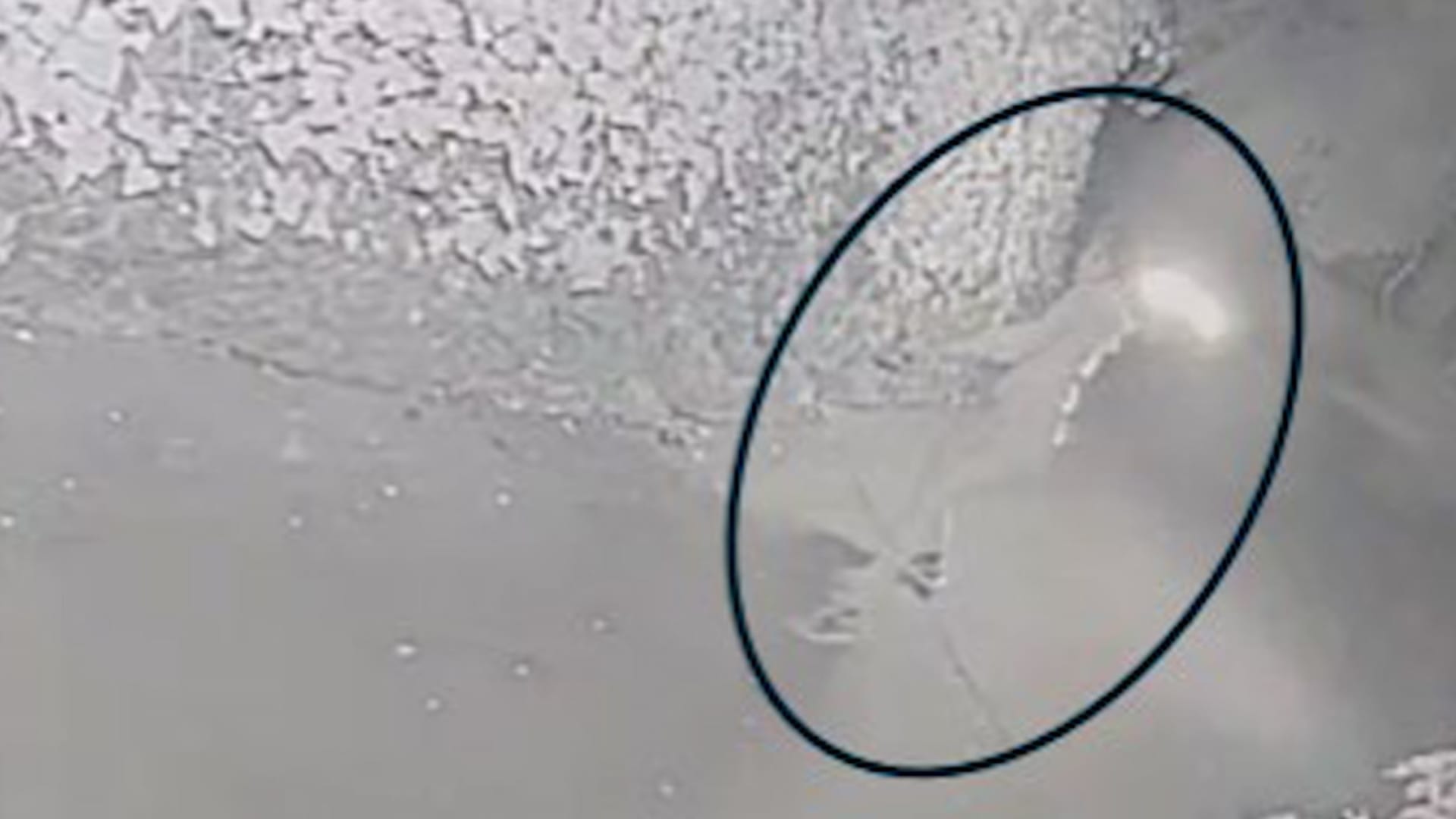 لحظة إلقاء مشتبه به عبوة حارقة على منزل الرئيس التنفيذي لـ"OpenAI" سام ألتمان