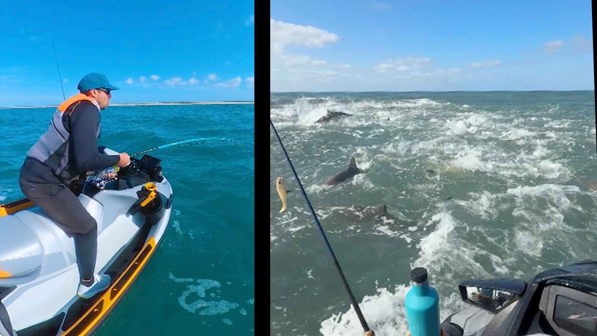 حادثة مرعبة.. أسماك قرش تحاصر صيّادًا في مياه كارولاينا الشمالية