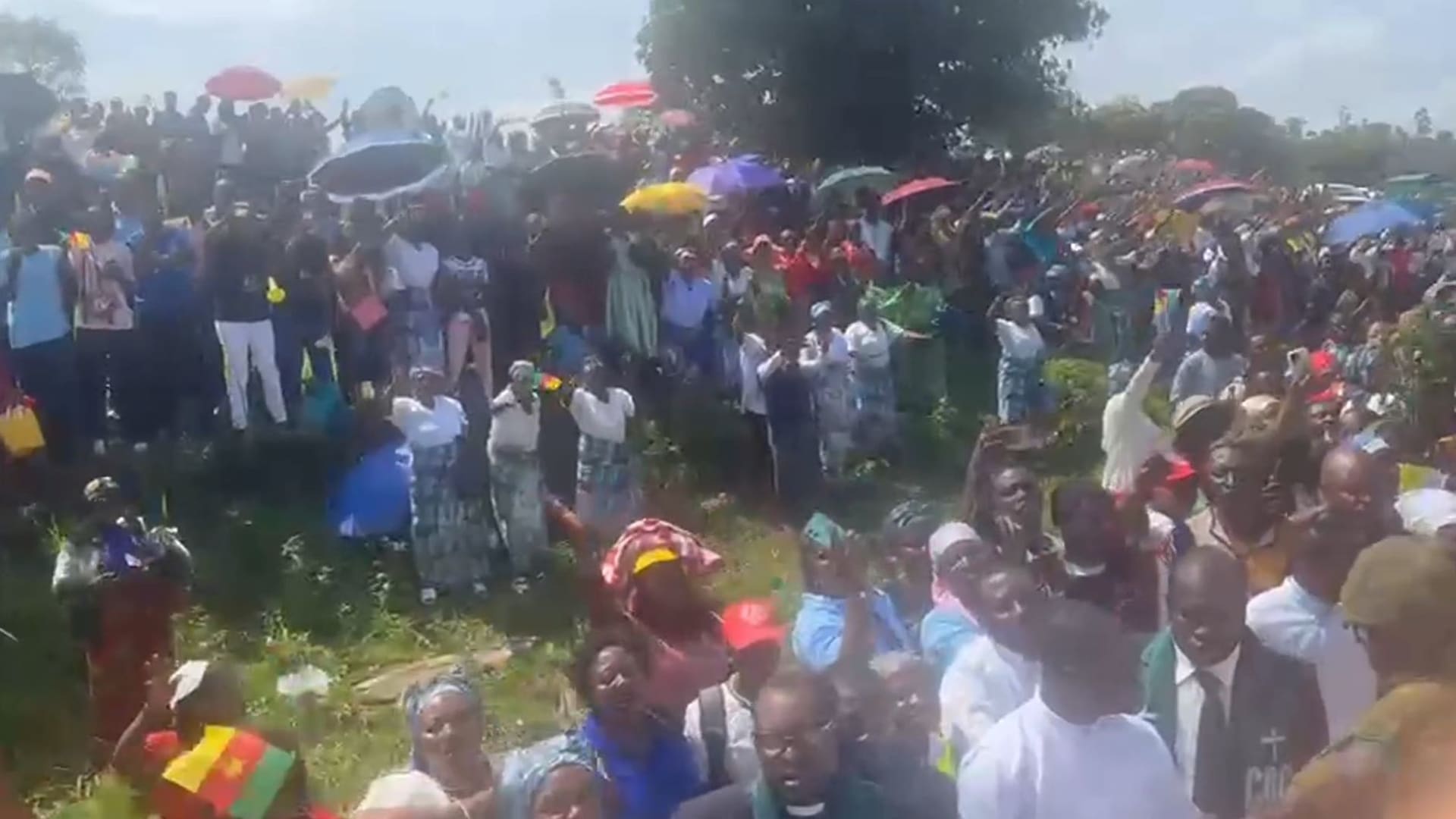 فيديو يظهر حشودًا غفيرة تستقبل بابا الفاتيكان في الكاميرون