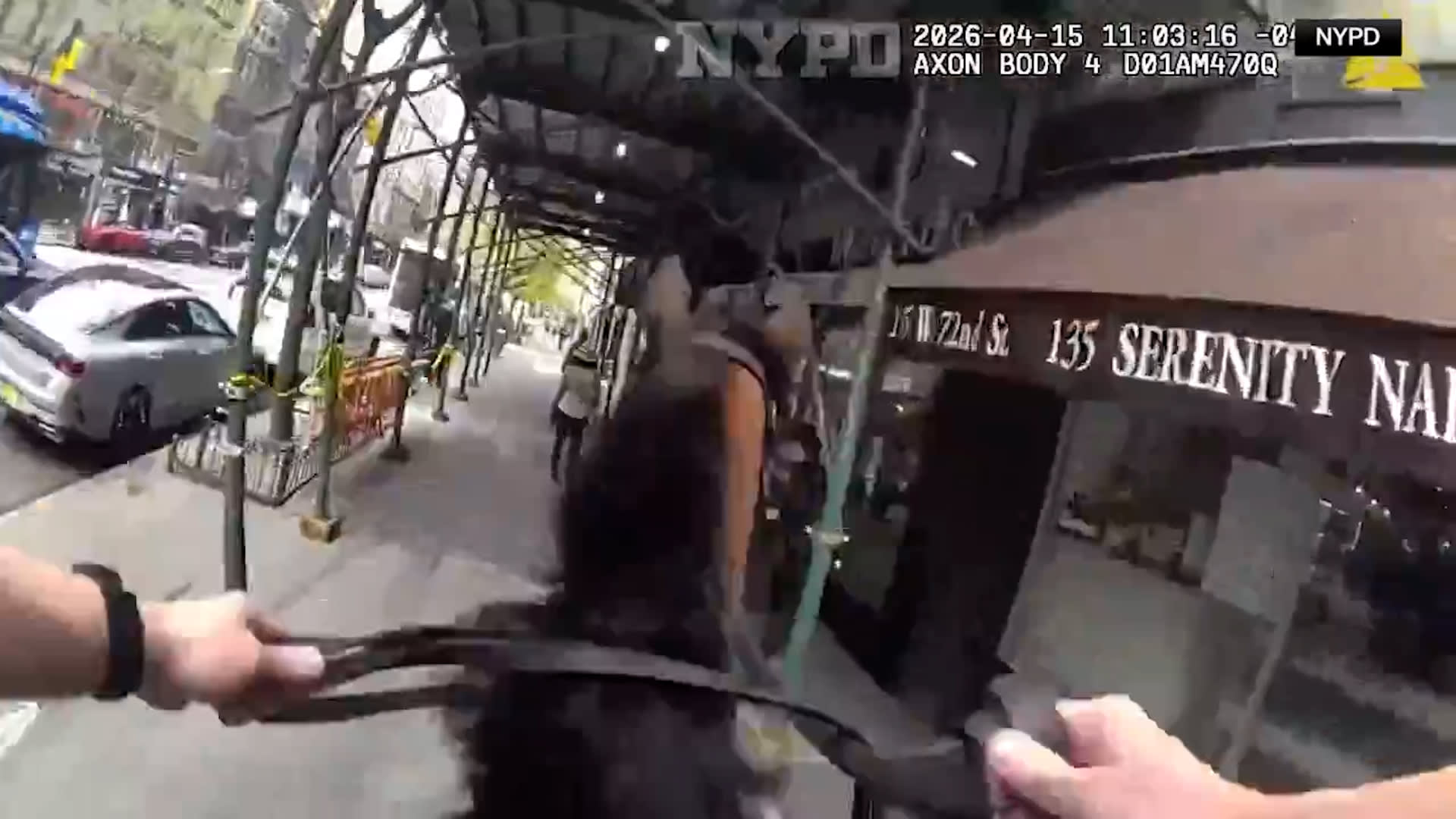 شرطي على ظهر حصان يباغت لصًا مشتبهًا به ويلاحقه بين أرصفة نيويورك