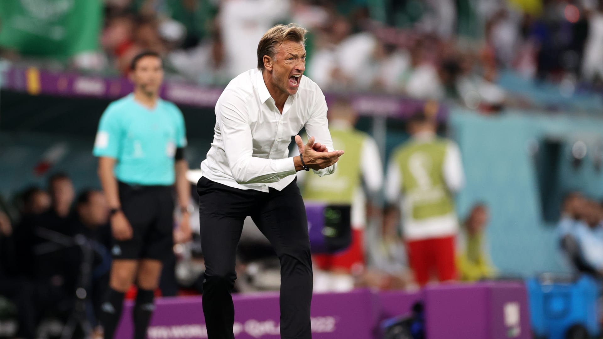 نظرة على أرقام رينارد مع المنتخب السعودي بعد رحيله عن منصبه