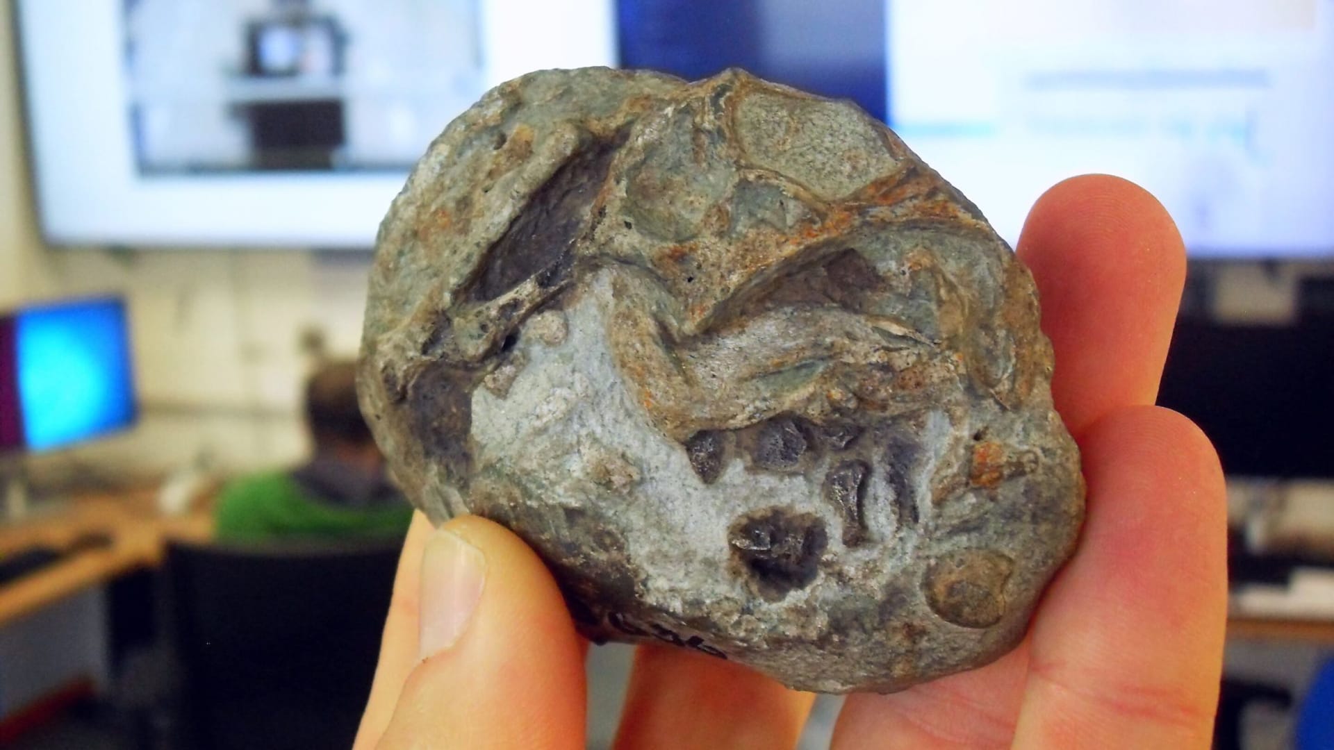 أسلاف الثدييات وضعت البيض.. وأحفورة قديمة تثبت ذلك