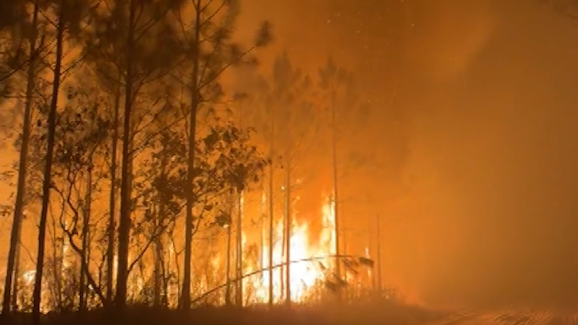 حرائق الغابات في جورجيا تتفاقم وسط ظروف جفاف شديدة