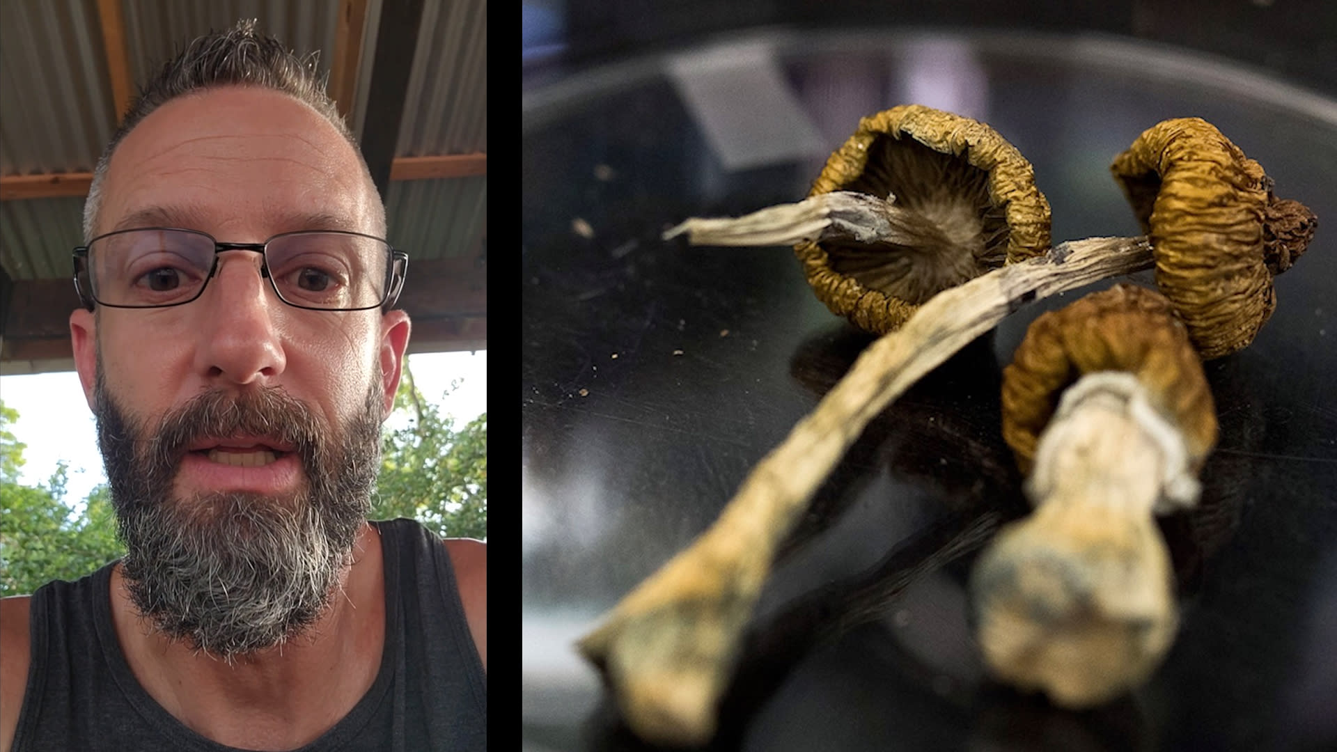 داخل منتجعات الهلوسة.. كيف كانت تجربة العلاج بـ"الفطر السحري"؟