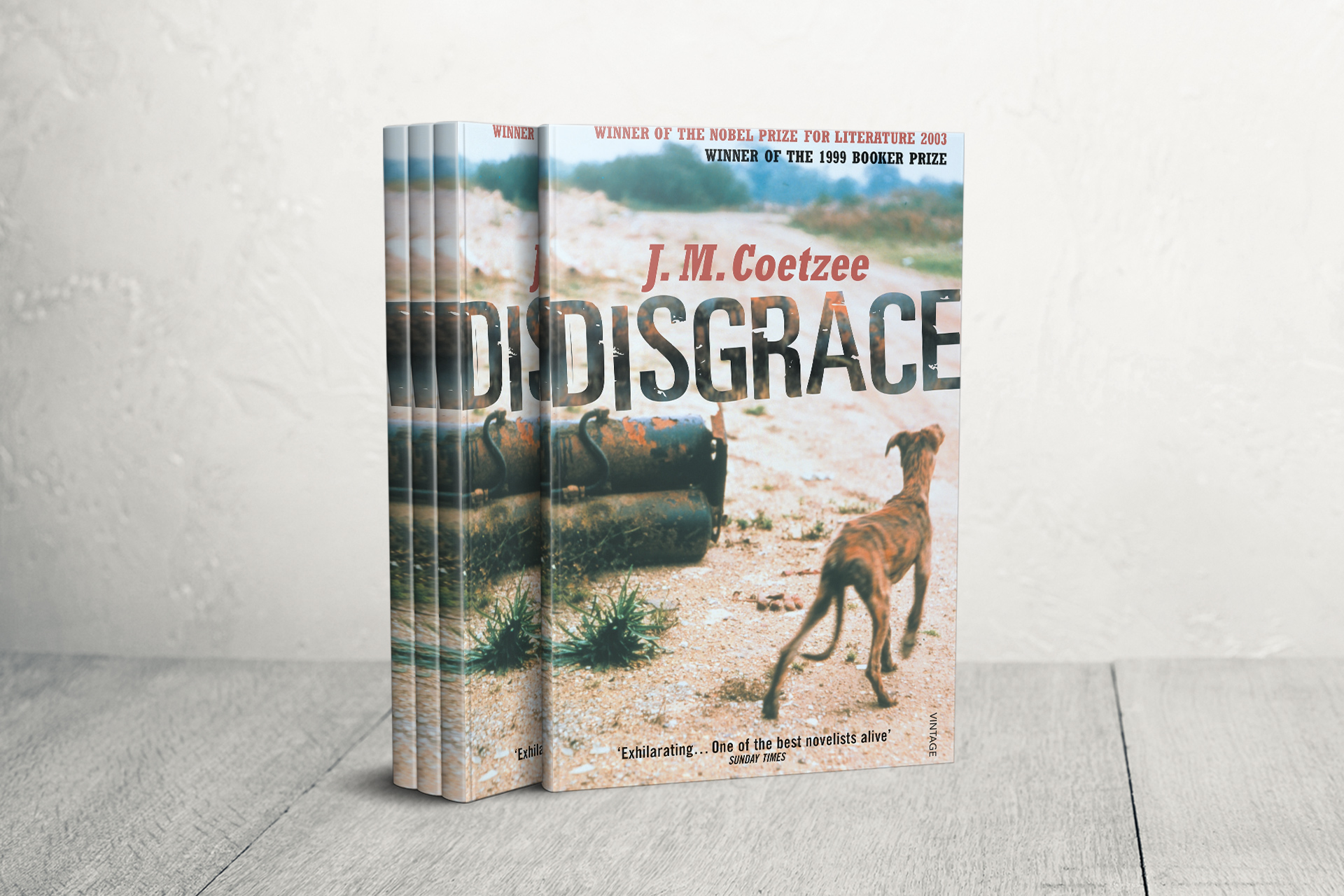 رواية "العار".. تساؤلات الذات والهوية في جنوب أفريقيا ما بعد الفصل العنصري