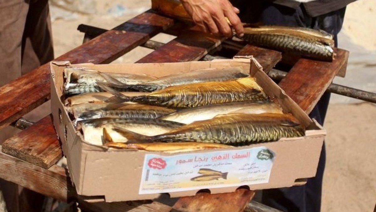 احتفال بدون رنجة.. تغير المناخ يهدد مائدة شم النسيم المصرية