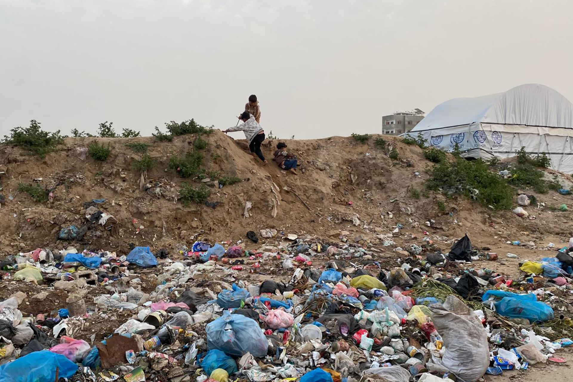 كارثة بيئية وصحية متفاقمة.. انتشار القوارض والحشرات يهدد سكان غزة