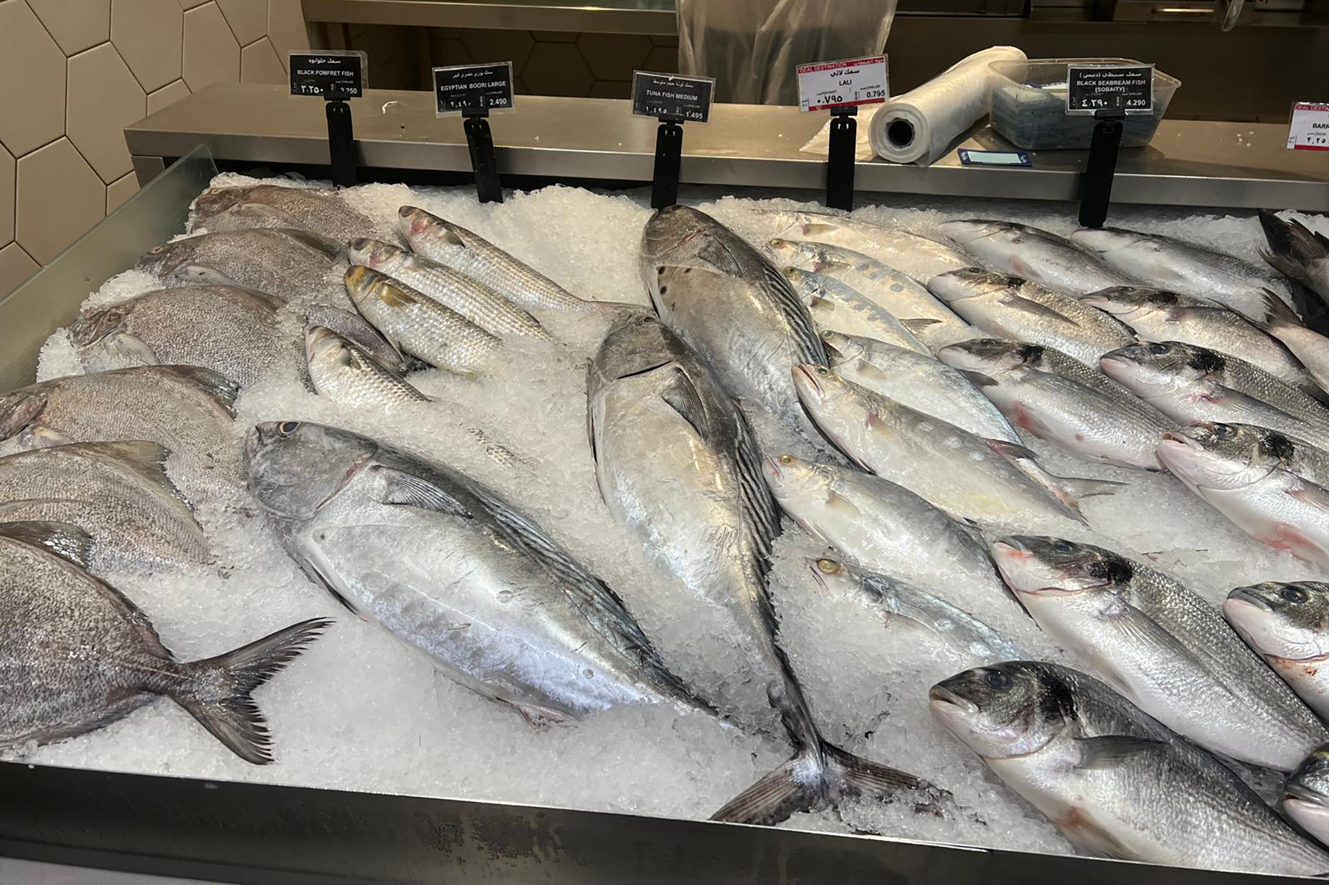 صيادو الكويت في "الخط الأمامي" للحرب لتوفير الأسماك