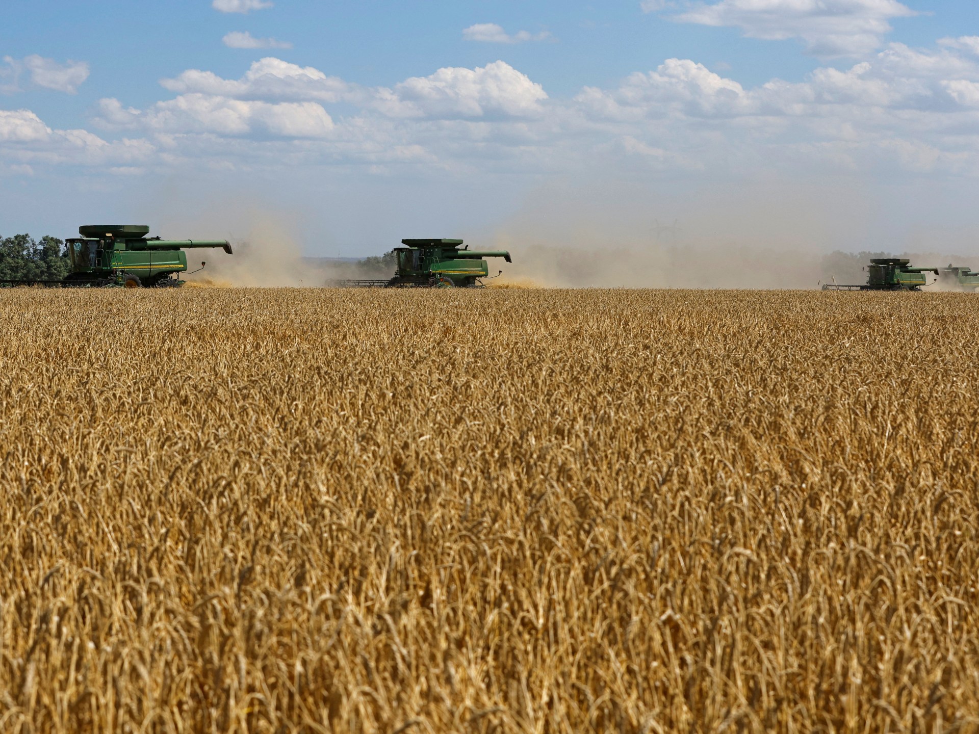 بوتين للغرب.. القمح الروسي هو النفط الجديد والأسمدة هي الغاز
