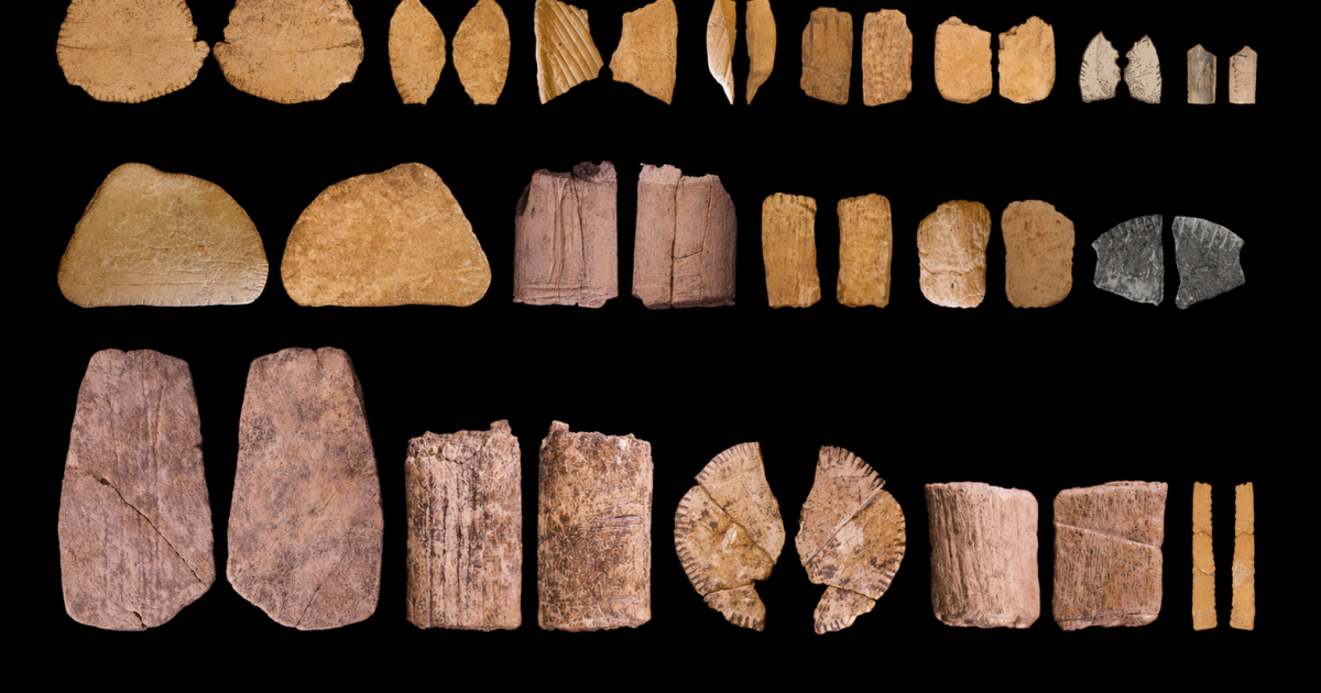 قبل 13 ألف سنة.. أقدم دليل في العالم على استخدام الاحتمالات