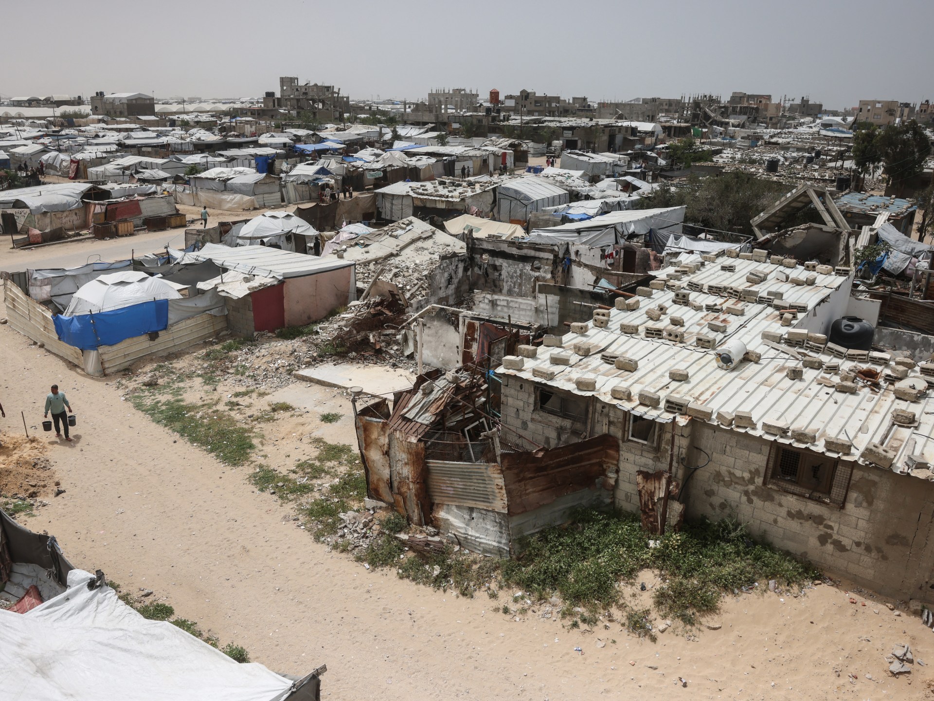 مع اشتداد القيظ.. القوارض والحشرات تُفاقم معاناة نازحي غزة