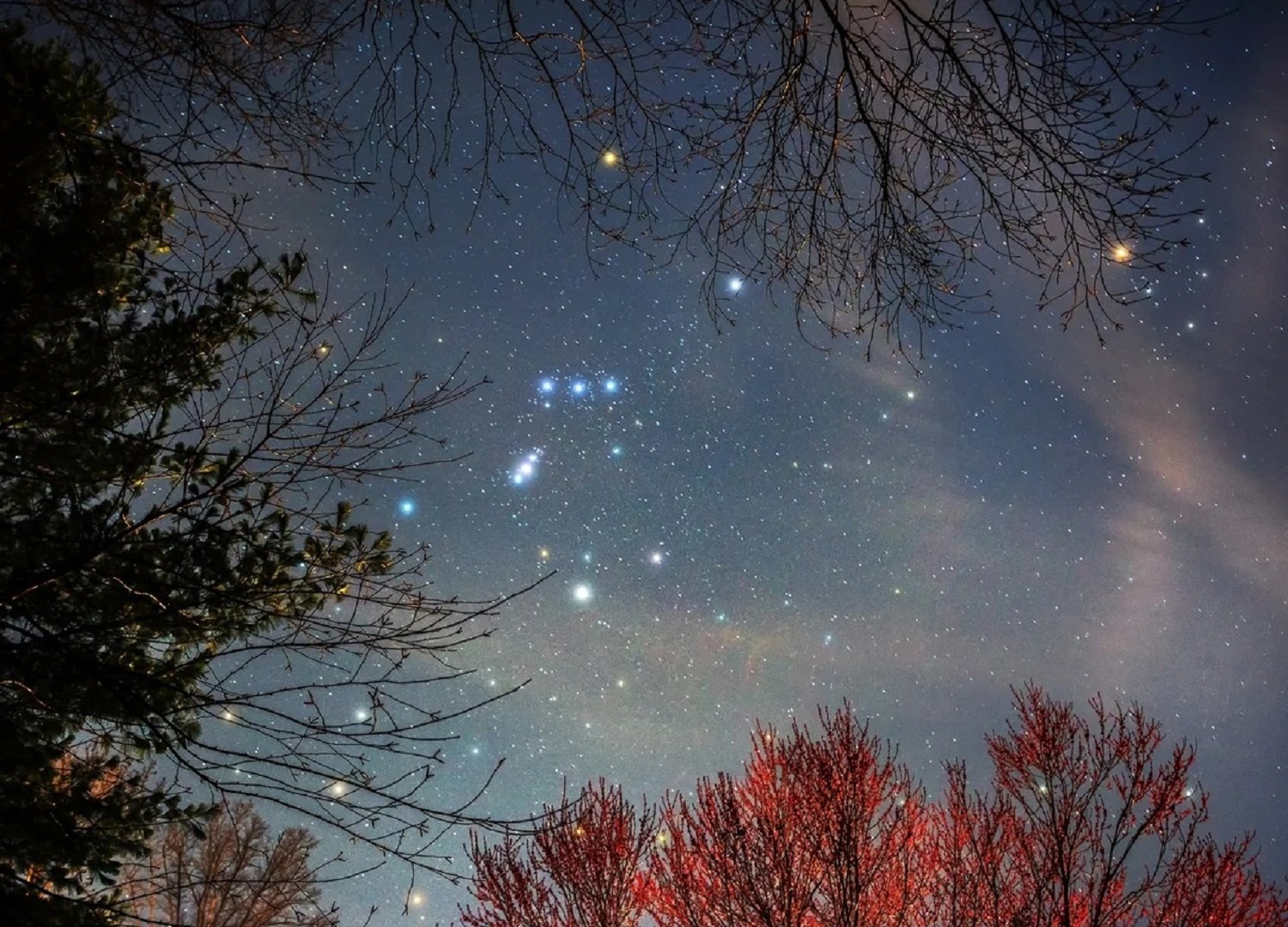 لماذا تهجرنا النجوم في فصول وتلازمنا في أخرى؟