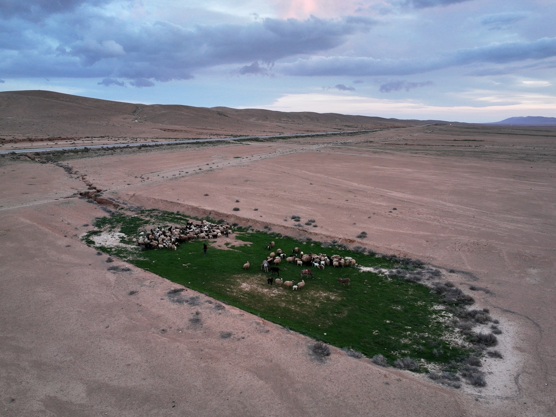 سوريا: العثور على نفق يمتد من حمص إلى لبنان
