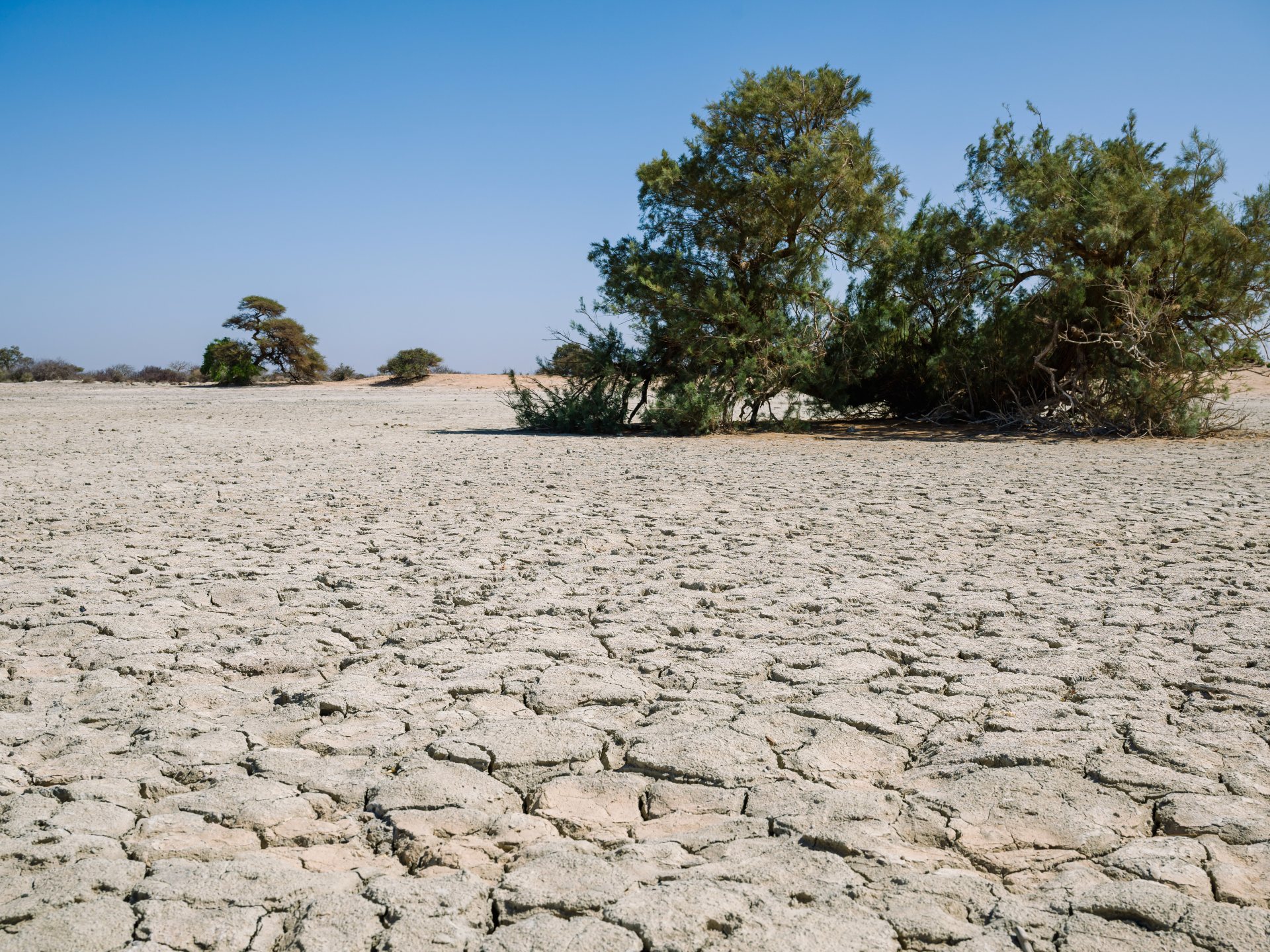 مليار شخص مهددون.. تقرير أممي يحذر من أزمة غذاء عالمية بسبب الحر الشديد