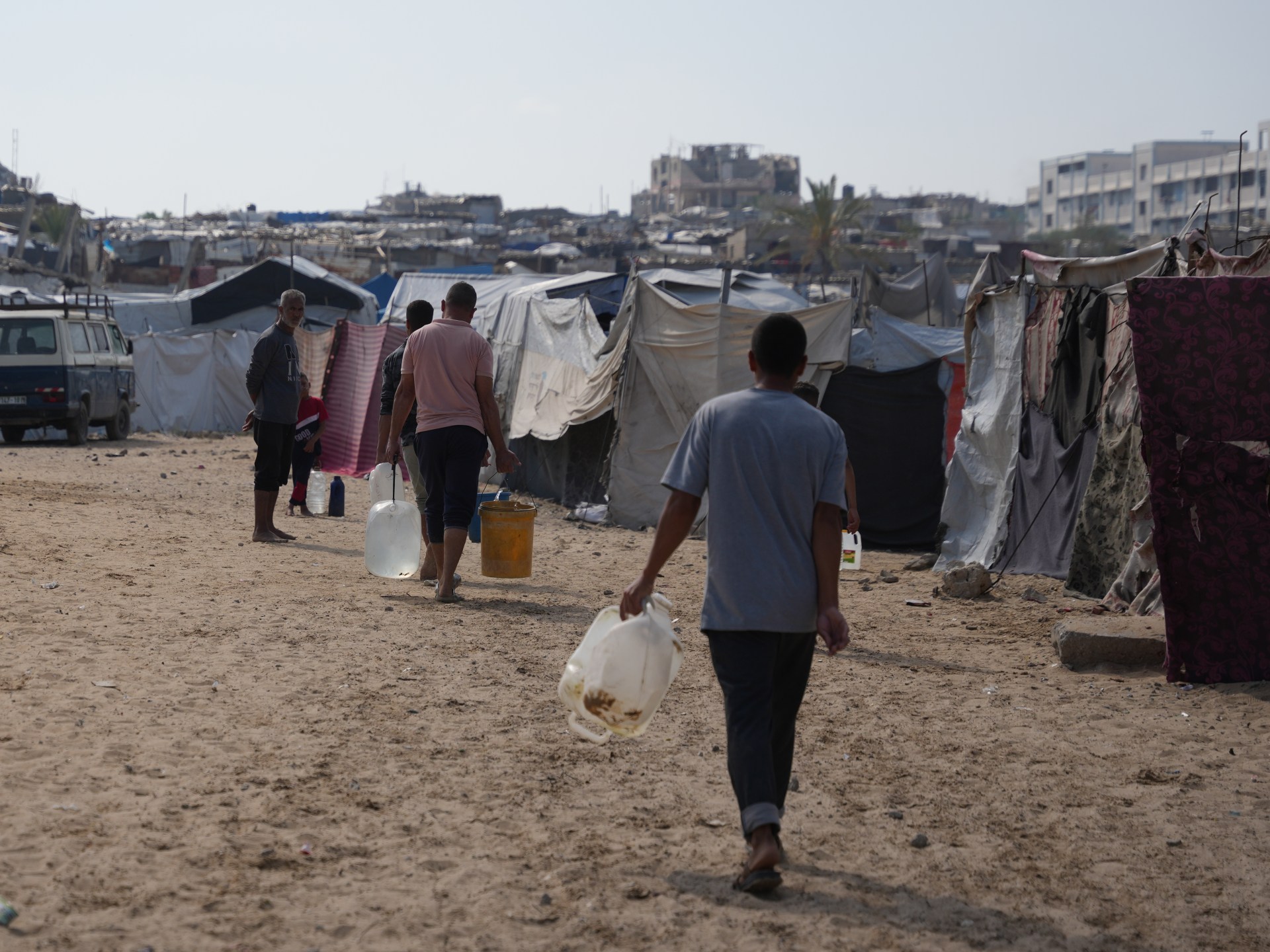 أكلت ملابس زفافها.. القوارض تُفسد فرحة عروس وتهدد سكان المخيمات بغزة