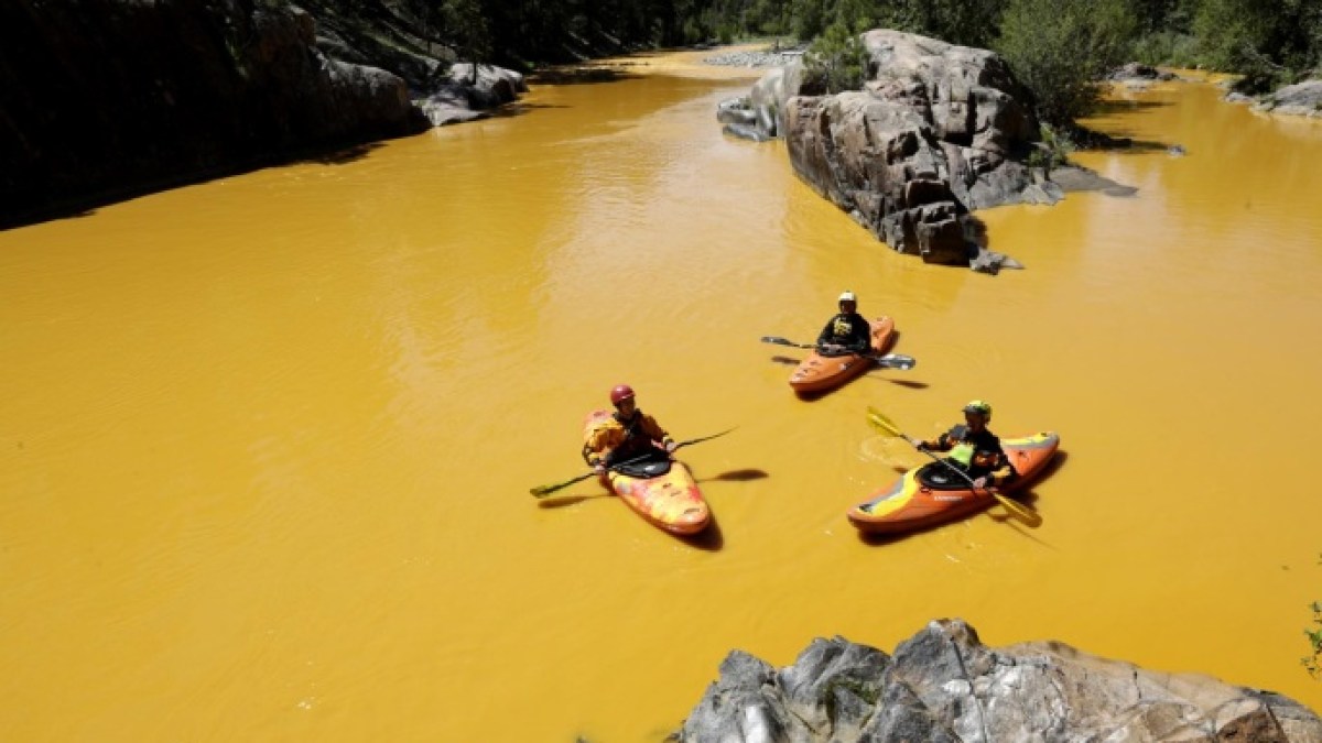 رايتس ووتش تتهم واشنطن بالتخلي عن حماية صحة الإنسان والبيئة