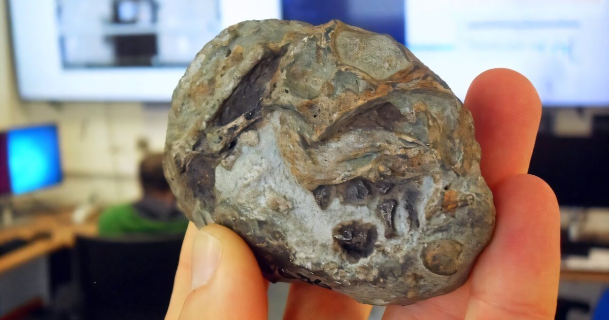 اكتشاف أحفورة نادرة لبيضة تحتوي على جنين عاش قبل 250 مليون عام