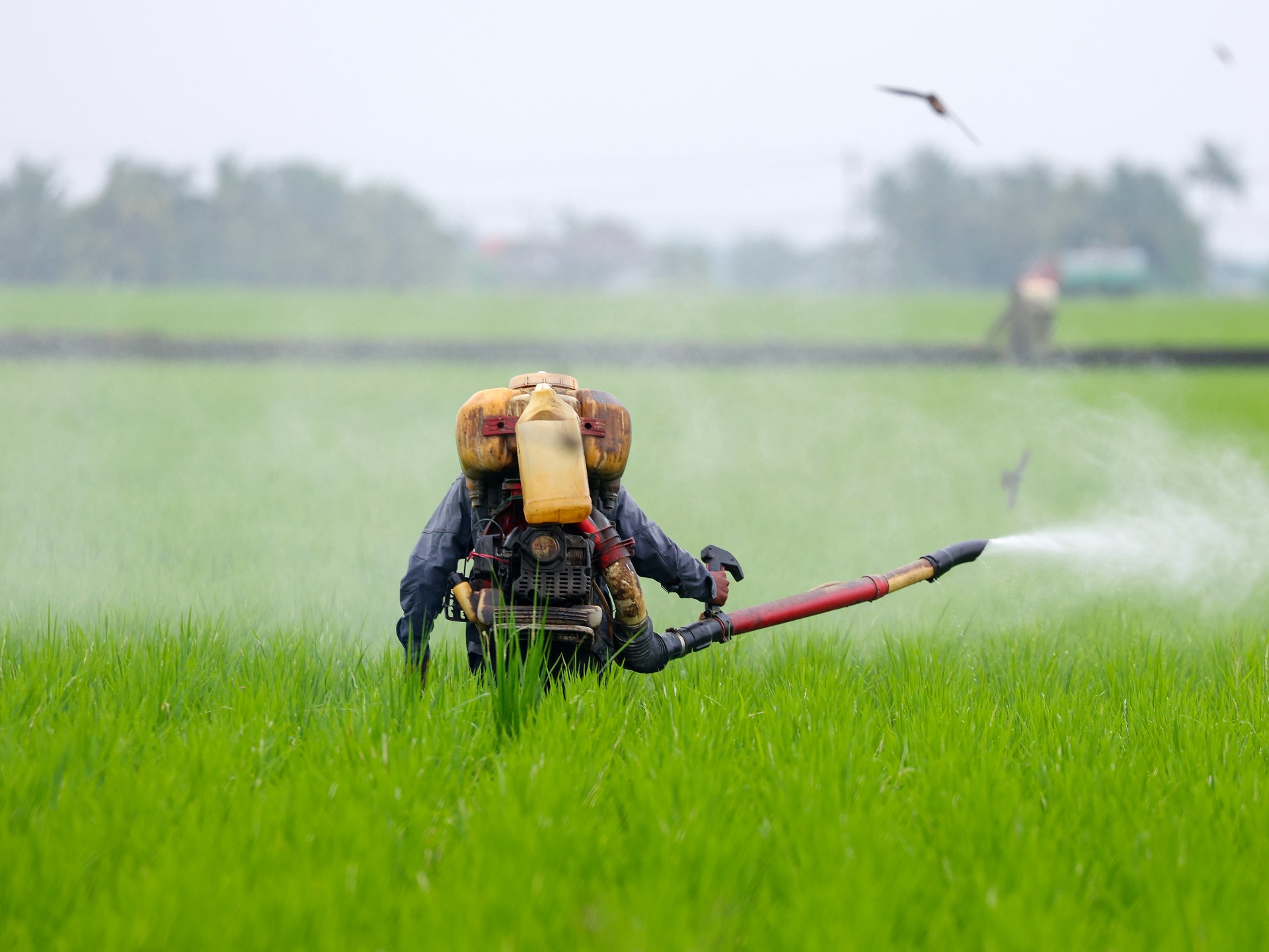 محادثات مرتقبة لمجموعة العشرين لاحتواء أزمة الغذاء والأسمدة