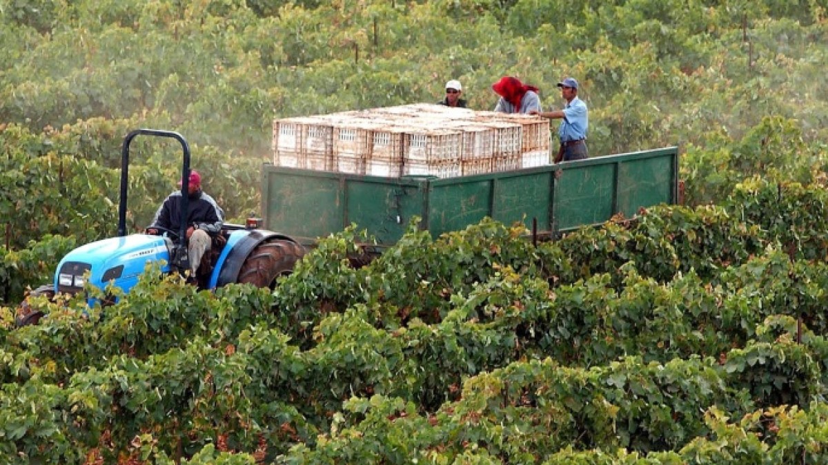 المغرب يتوقع نموا اقتصاديا 4.7% في الربع الثاني