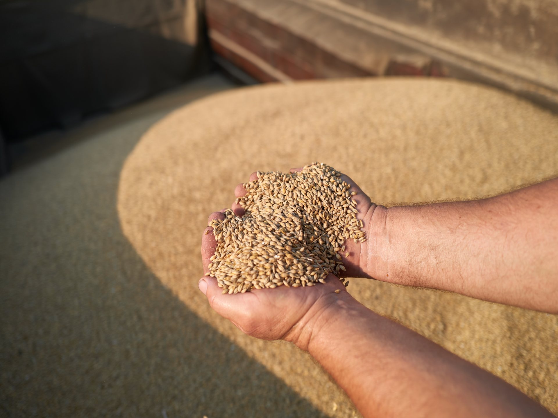 تلويح أوكراني بمقاضاة إسرائيل بسبب أزمة "الحبوب المسروقة"