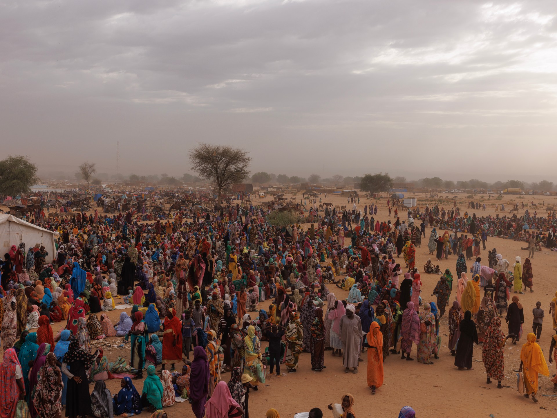 لاجئو السودان في تشاد.. نجوا من الحرب فسقطوا في جحيم العطش والجوع