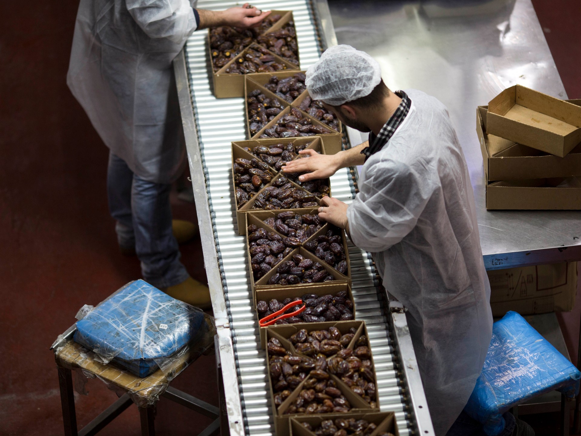 الحرب تشل الصادرات الإسرائيلية وتكبد المزارعين خسائر كبيرة