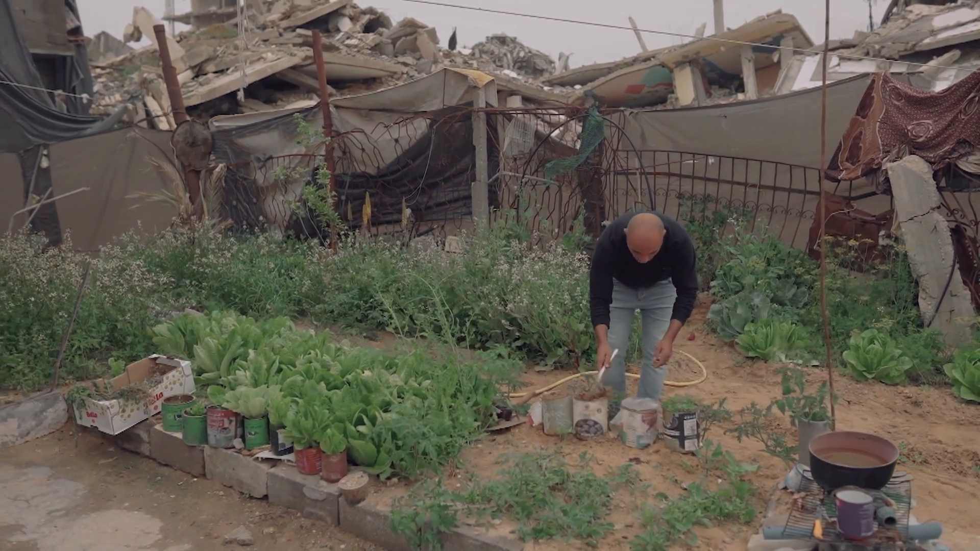 أصوات من غزة.. مزارع صغيرة تتحول إلى طوق نجاة وسط الدمار والحصار