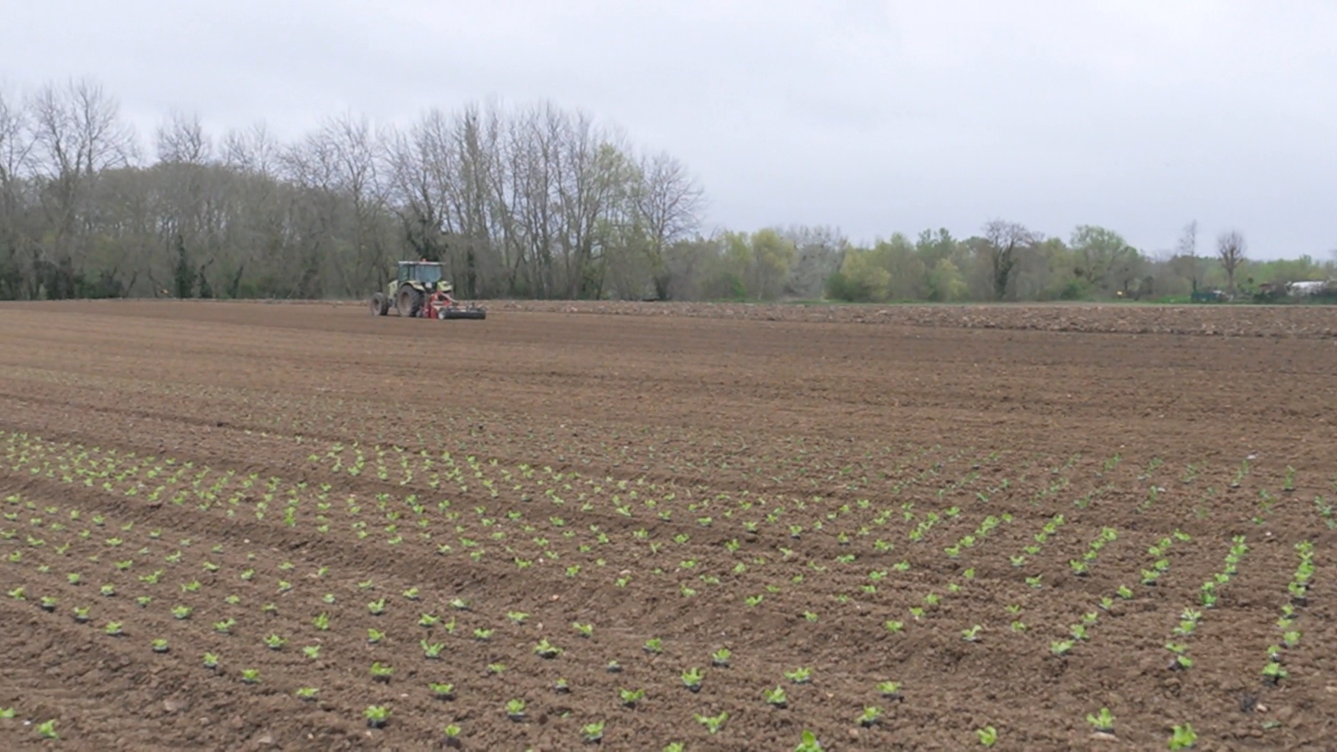 تداعيات الحرب في الشرق الأوسط ترهق قطاعات الإنتاج في فرنسا