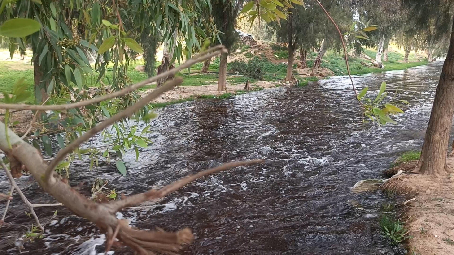 الأردن بين العطش والسياسة.. أزمة تتفاقم وانفراج يلوح من بوابة سوريا