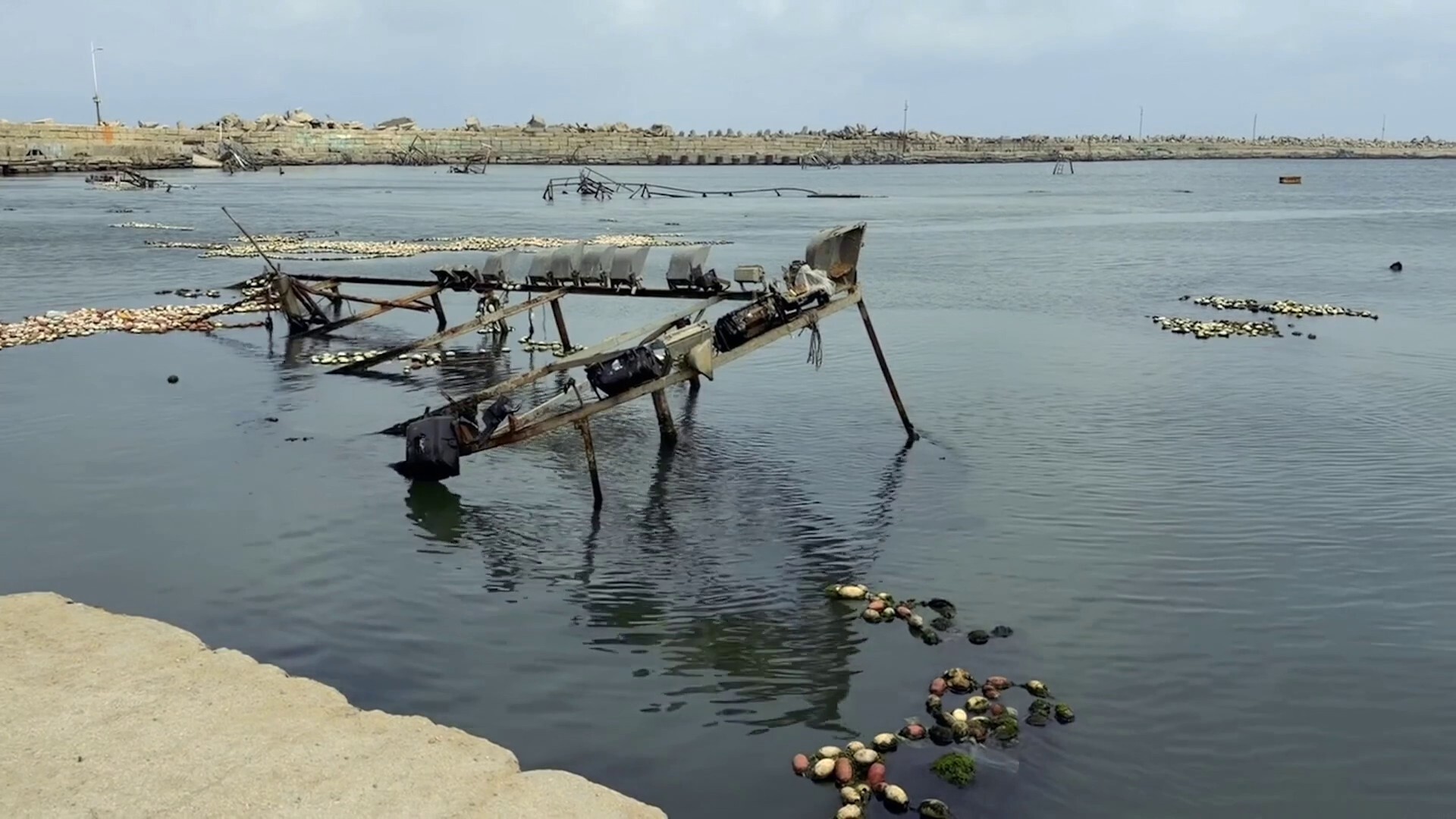 الاحتلال يلاحق صيادي غزة ويغرق مراكبهم