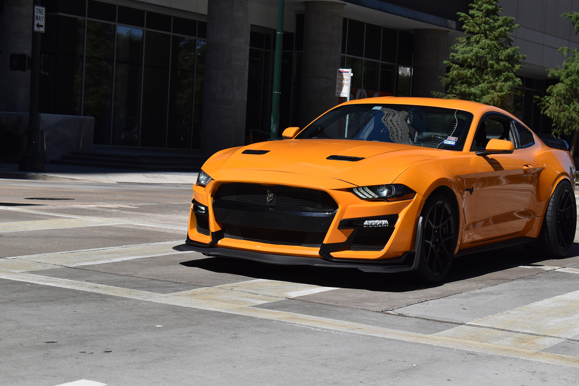 نهاية "الأفعى".. القصة الكاملة لاختفاء شعار شيلبي من موستانغ