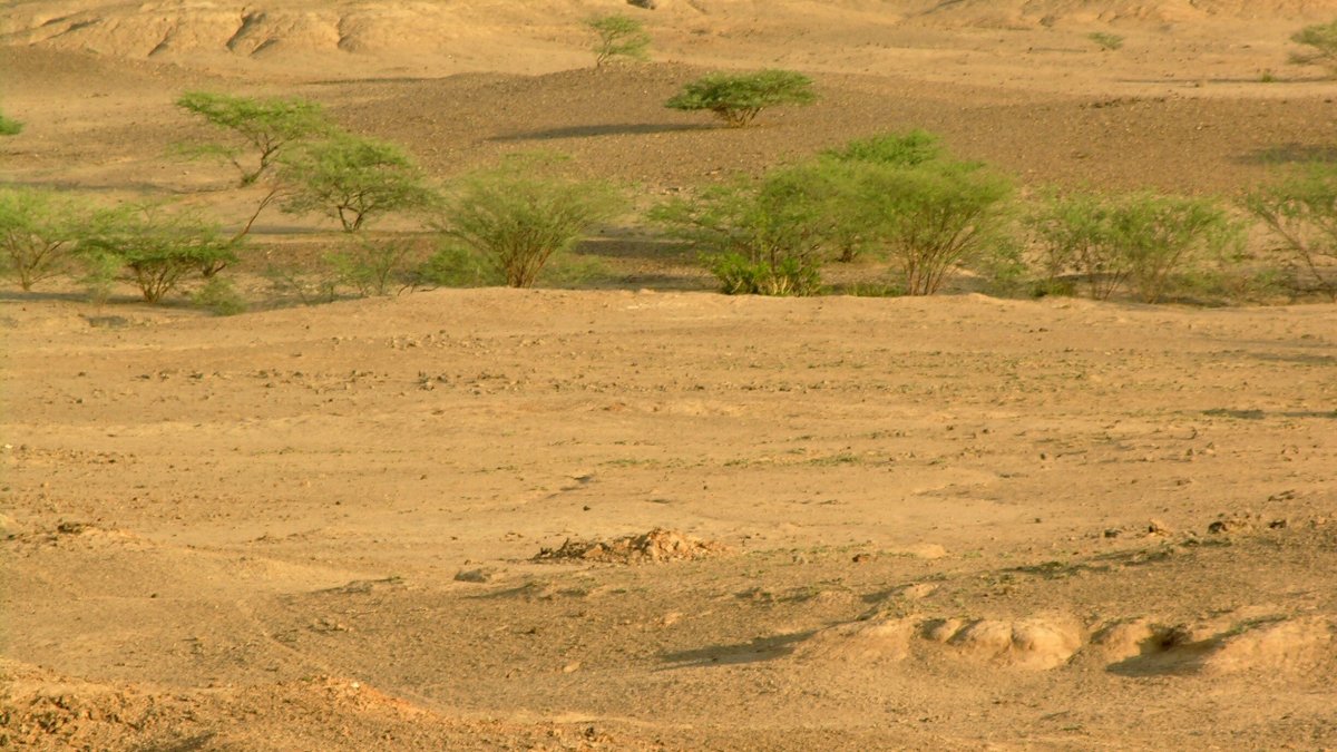 أدلة جديدة من إثيوبيا: كيف عاش البشر قبل 100 ألف عام؟