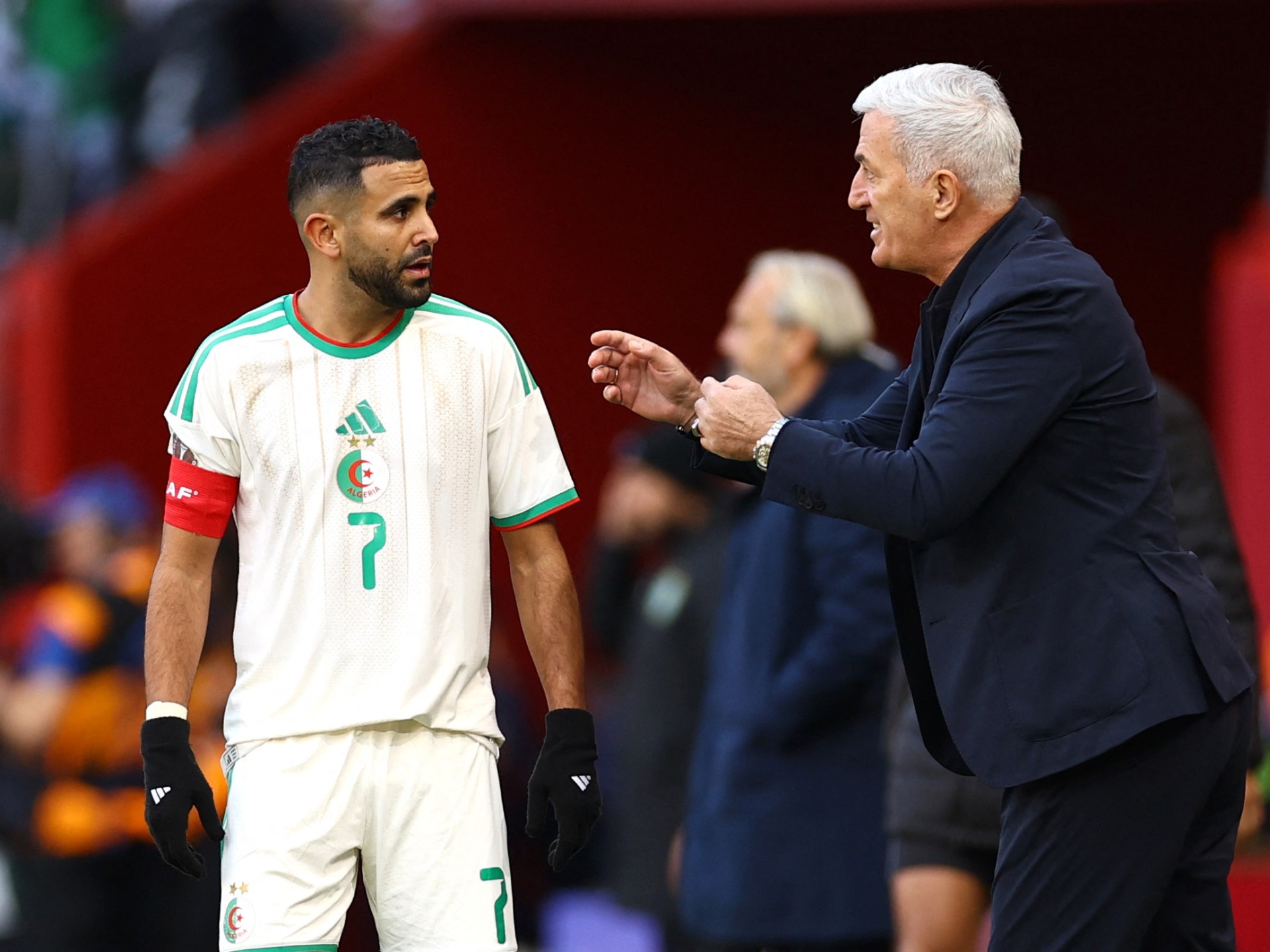 الخبرة أم الشباب؟ خيارات مدرب الجزائر ييتكوفيتش تحت المجهر قبل كأس العالم