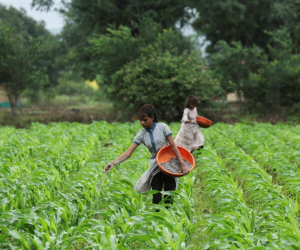 تحذير أممي من كارثة غذائية بسبب تعطل إمدادات الأسمدة عبر هرمز