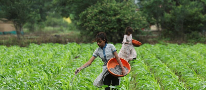 تحذير أممي من كارثة غذائية بسبب تعطل إمدادات الأسمدة عبر هرمز
