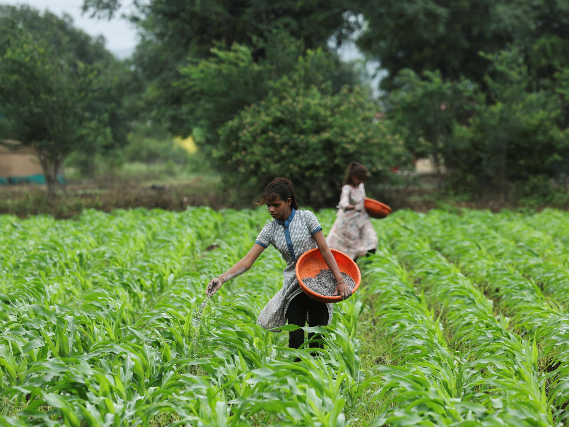 تحذير أممي من كارثة غذائية بسبب تعطل إمدادات الأسمدة عبر هرمز