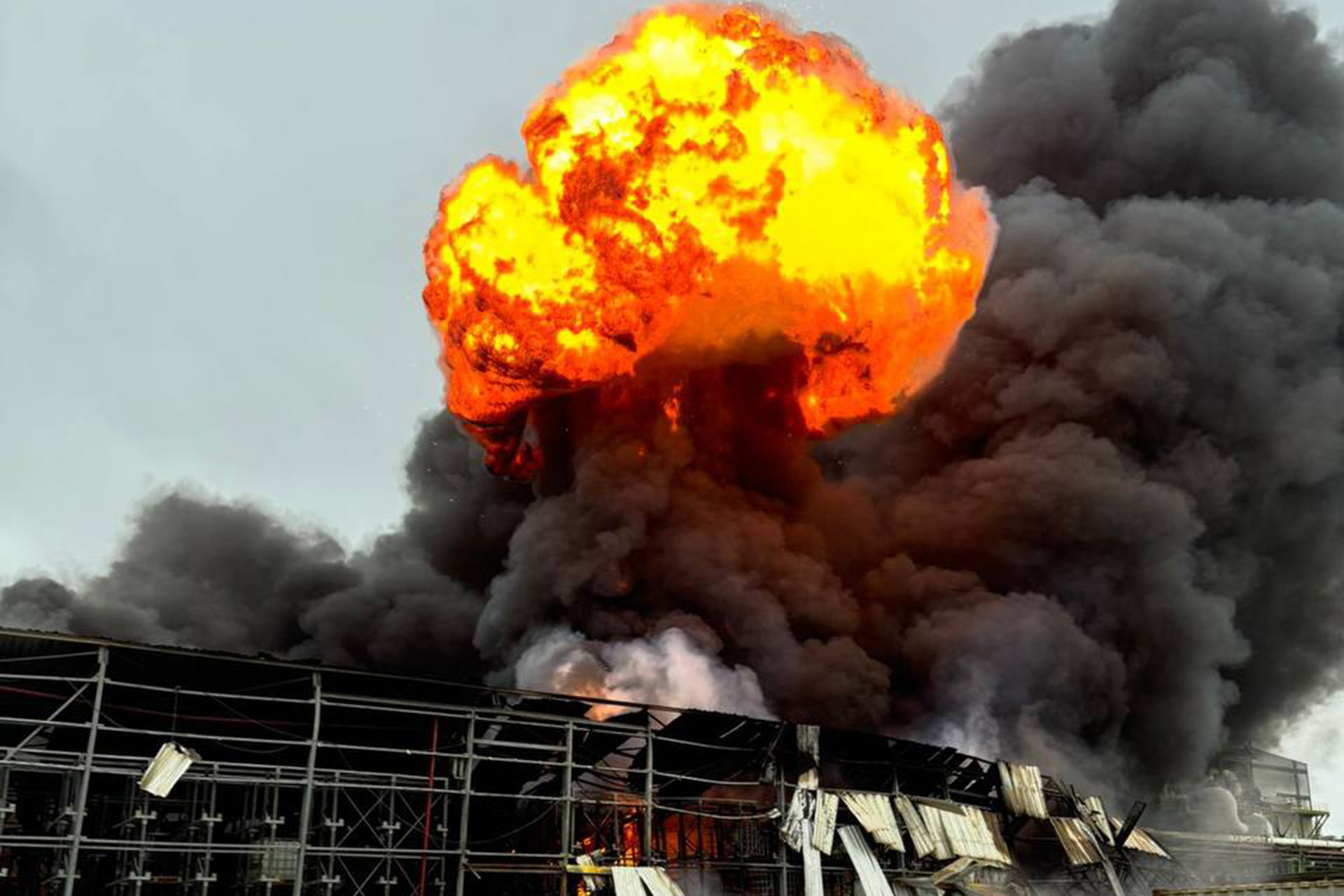 الخيار التاريخي