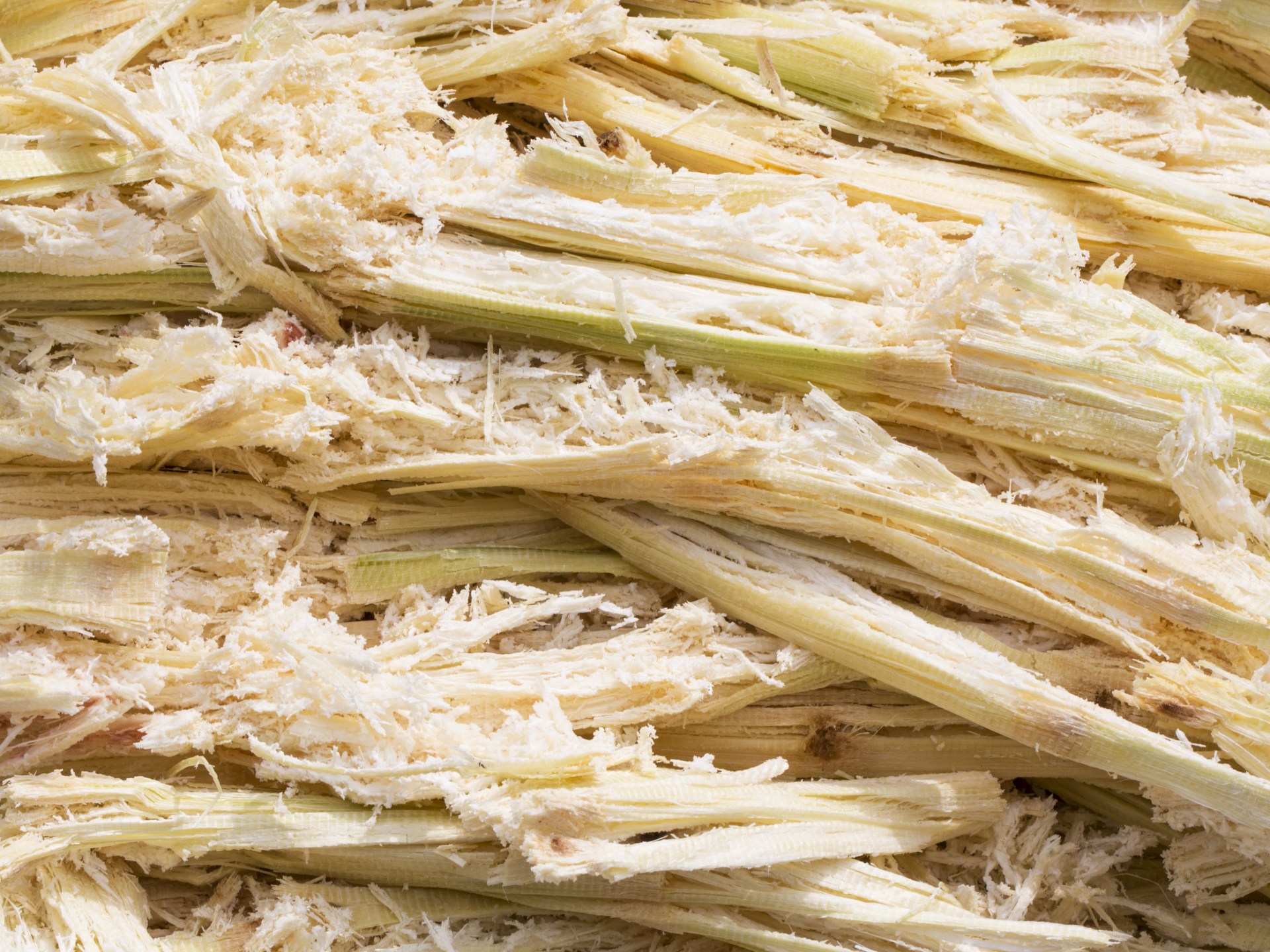 وقود الطائرات القادم.. هل ينتج من "مخلفات القصب"؟