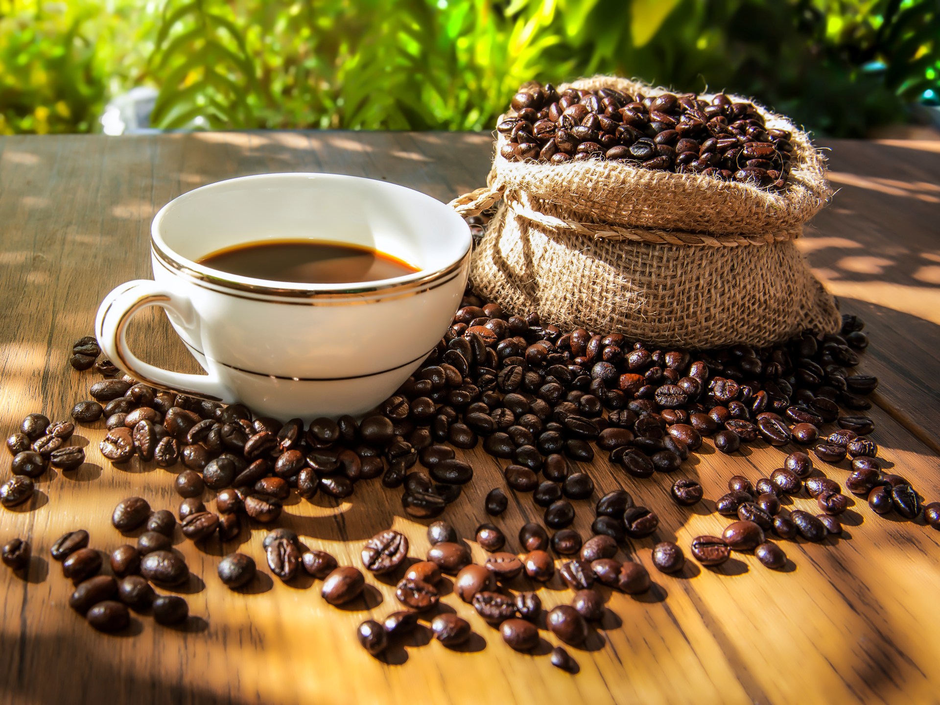 أرابيكا تواجه الحرارة والجفاف.. حبوب نادرة قد تغير خريطة القهوة العالمية