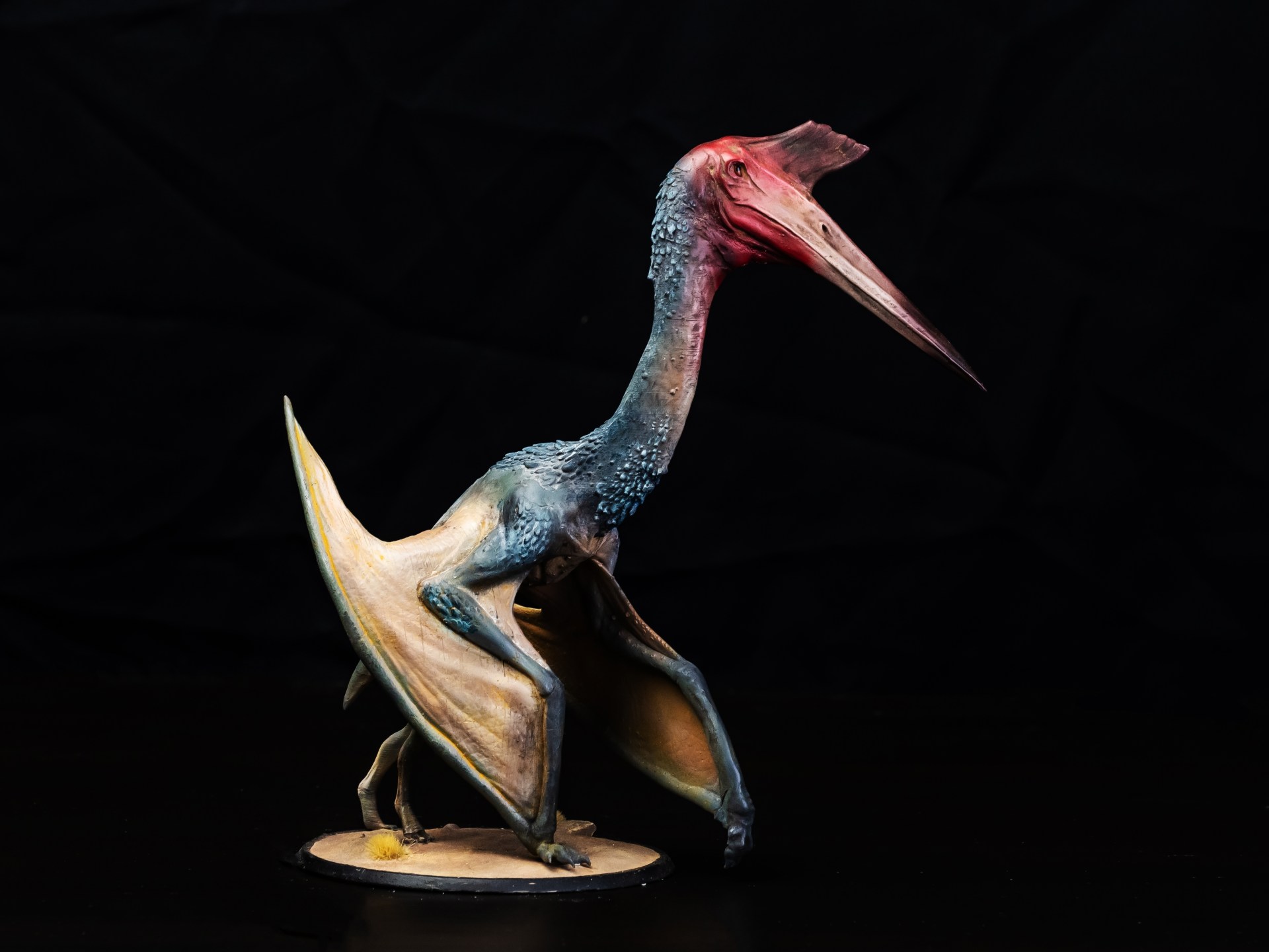 "قيء ديناصور" يتحول إلى سمكة.. حفرية خدعت العلماء