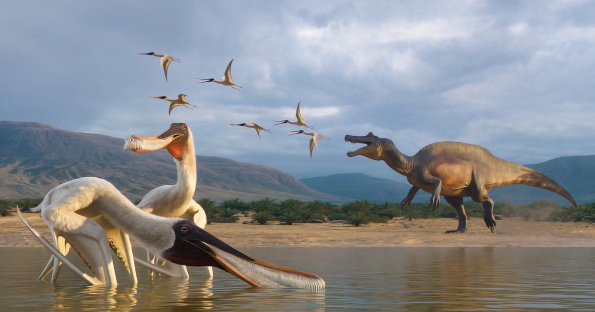 تشبه البجع.. الكشف عن زواحف طائرة عجيبة عاشت قبل 110 ملايين سنة